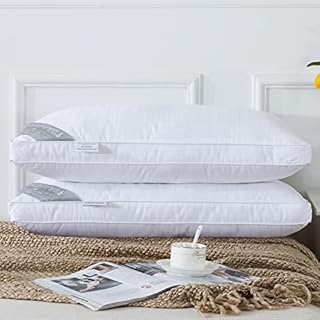 HOMEFOUCS Standard Size Bed Pillows 2 Pack Luxury Down Alternative Pillows for Sleeping, 100% Cotton Cover with Gusset Ultra Soft, Just Like Down and Mulberry silk Filling (48x 74cm)
