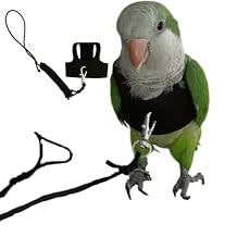 Bird Flight Harness Vest, Parrot Flight Suit with Leash for Parakeets Cockatiels Conures Budgies, Bird Flying Clothes with Rope and Handle for Outdoor Activities Training, Anti Bite Large