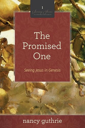 The Promised One view 2