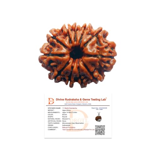 Image of Divine Hindu Original 11 Mukhi (Eleven Face) Indonesia Rudraksha | Ekadash Mukhi Rudraksh Bead for Meditation & Spiritual Growth | Natural Rudraksha for Men & Women | Prayer Bead for Success, Peace