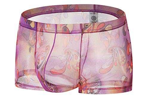 Naturemore Men's Sexy Low Rise Underwear Ice Silk Boxer Brief Sexy See-Through Transparent Briefs4