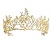 SFYAL1U Vintage Baroque Bridal Crown Dragonfly Flower Crystal Wedding Tiades Queen Pageant Crown Dragonfly Fascia for Il Compleanno Prom Halloween Costume (Golden) wangYUEQ