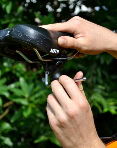 Jeu de cles hexagonales Pedros Set cle BTR L Hex Wrench pour velo