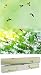 Scentennials Hummingbird Harmony Scented Fragrant Shelf & Drawer Liners 16.5" x 22" (6 Sheets) - Great for Dresser, Kitchen, Bathroom, Vanity & Linen Closet