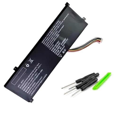 Batterie SSBS81 pour 16HDS-7BB6U 16HD-5BB6U Code01 Code10-7CC6U