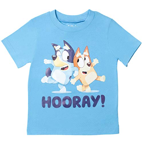 Bluey Toddler Boys Graphic Tee and Mesh Shorts Set #TOP30