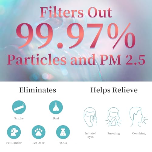 Image of 2 Packs A2 F2 Replacement Filters Compatible with 3M Filtrete Room Air Purifi-er Models FAP-C02-A2 FAP-C03-A2 FAP-T03-A2 FAP-C02WA-G2 FAP-C03BA-G2 FAP-T03BA-G2 FAP-SC02N FAP-SC02W