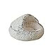 SEDOXX Plush Round Cat Bed For Puppy Kitten Pet Bed Indoor Super Soft Cosy Calming Bed Small Dog Bed 2-in-1 Velvet Inner Tent Cave Bed Washable Anti-slip Bottom,40cm,Grey