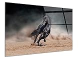 Tableau déco verre acryliques Cheval Noir au galop : Tableau décoratif, imprimé sur verre acrylique 5 mm d'épaisseur, Contrairement au verre classique, le verre acrylique est plus résistant aux chocs et ne se déforme pas.