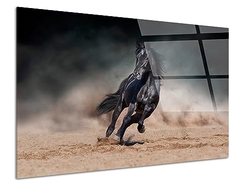 DECLINA, Quadro in plexiglass, decorazione da parete in plexi, lavagna in vetro acrilico, quadro decorativo in plexiglass con cavallo, 80 x 50 cm