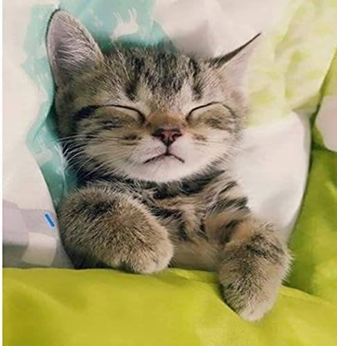 Peinture au diamant 5D anti-stress : fini l'anxiété avec la mosaïque strass chat qui dort