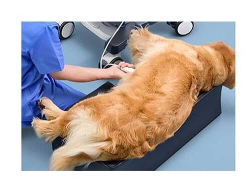 Veterinary Echocardiography Mattress - 39