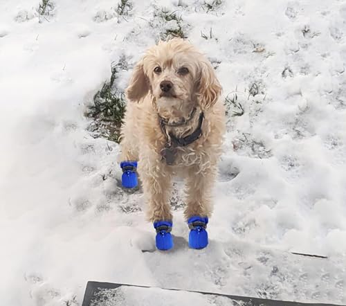 YAODHAOD Dog Shoes for Small Dogs, Puppy Boots & Paw Protectors, Blue, 2 by YAODHAOD - Used condition - Image 6