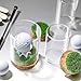Rocalt Golf Ball Display Case, Hole in One Golf Ball Display Case, Clear Glass Golf Ball Holder with Cork Base, Lifelike Turf, and Plastics Tee, Golf Gifts Decor