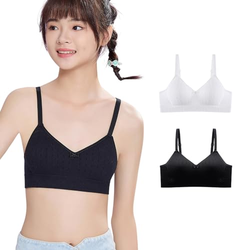 [SophroniaTerri] X WjAu 2Zbg mC[ Z 10 _炩   u z w uW[ ɂ   Lk ʋC ʊw K  w