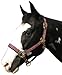 Intrepid International Plaid Nylon Padded Horse Halter, Navy/Red, Large