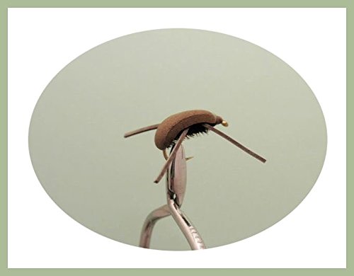 6 Pack of Brown Gum Beetle trout Fishing Flies, Choice of Sizes (Mixed)