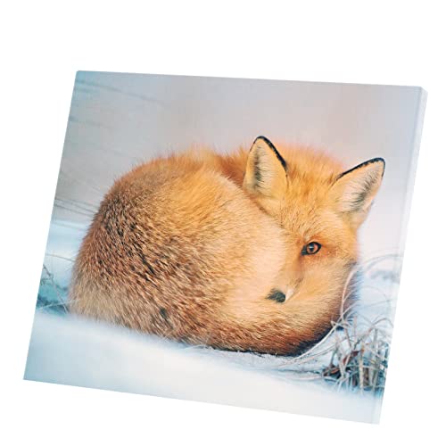 Tableau Renard Roux Toile Imprimée Idée Cadeau Idéale Crémaillère et Anniversaire