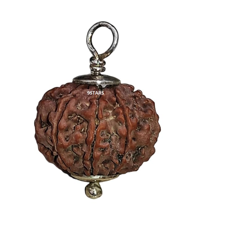 9 Mukhi Rudraksha Original Certified Nepali 9 Face Rudraksha Original Nepal Pendant 9 Nine Faced Lord 9 Durga Roop Nine Face Energized Bead Blessed By Devi Maa 9Mukhi-image-25