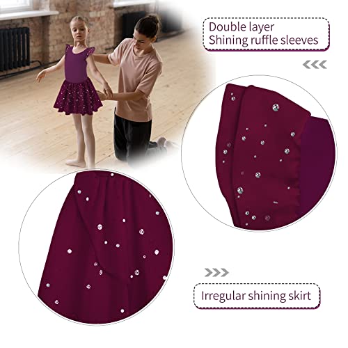Image of MOLLDAN Girls Dance Leotards for Ballet Dress Shiny Skirt Ruffle Sleeve Crisscross Back