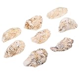 LOLIPPYY Bandeja Artesanal de Conchas de Ostra Auténticas 8 Piezas Variadas para Servir Mariscos y Aperitivos en Cocina y Comedor, Platos para Ostras y Presentación de Alimentos