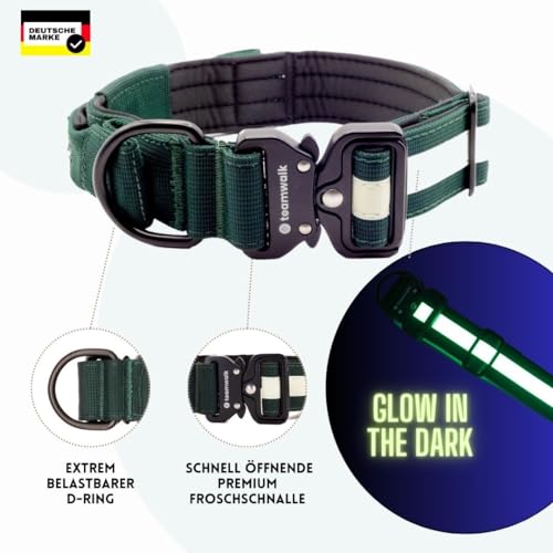 teamwalk® Premium Hundehalsband - mit Magnetgriff, Leuchtstreifen, Air-Tag Tasche, individuell einstellbar, weiche Polsterung, robuste Schnalle, mit passender Leine erhältlich, JETZT NOCH Leichter(M)