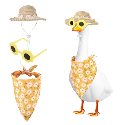 3 Costumes Oie Porche Marguerite Chapeau Écharpe Lunettes