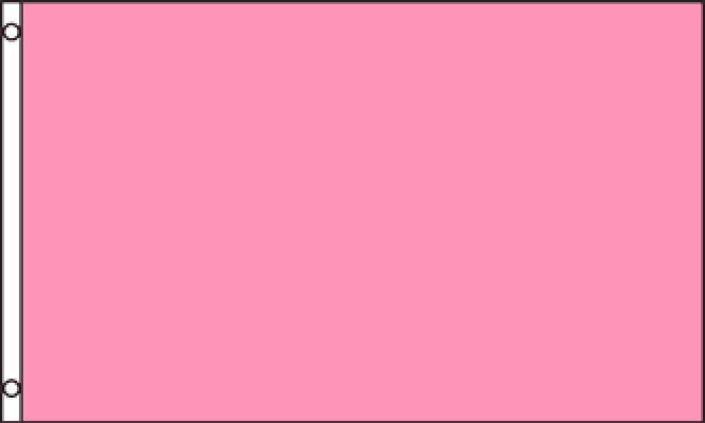 Amazon.com : Pink Solid Color 3x5 ft polyester Flag : Patio, Lawn & Garden