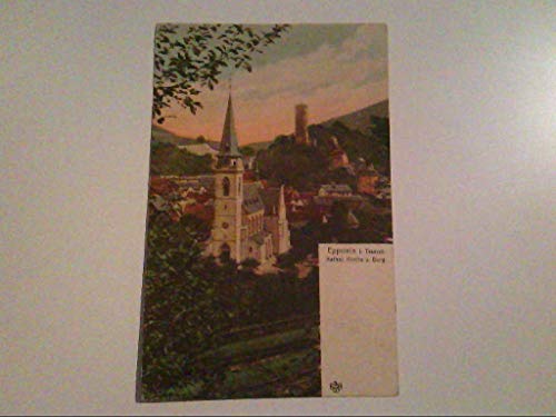Eppstein im Taunus. Kathol.Kirche. Burg. AK.