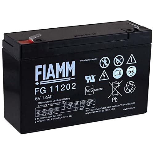 FIAMM Recambio de Batería para Moto Infantil Buggy...