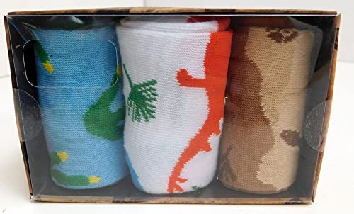 Dinosaur Fossil 3 Pair Crew Box Set 6