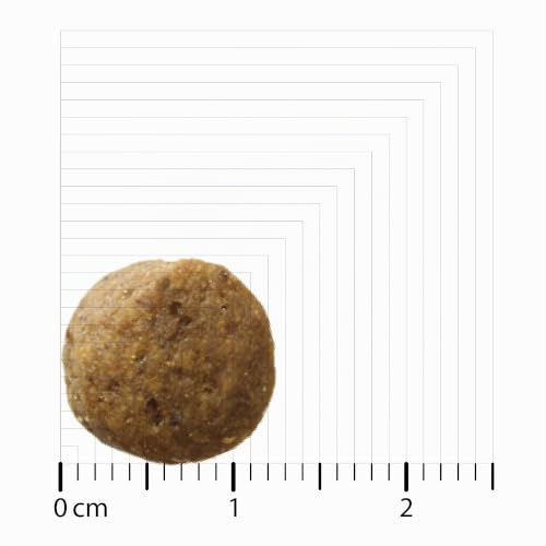 Bozita Hundefutter Original Puppy & Junior XL Lamm – 3 kg weizenfreies Trockenfutter für Welpen, Junghunde sowie säugende Hündinnen größerer Rassen – Ausgewogene Ernährung für gesundes Wachstum