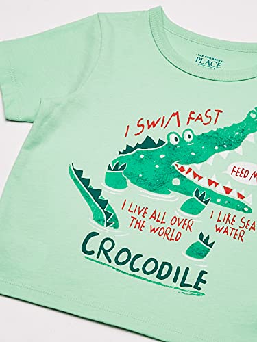 Image of Baby Boys and Toddler Boys Short Sleeve Graphic T- Shirt 2-pack