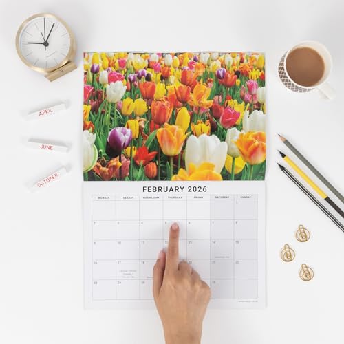 Calendario 2026 de flores silvestres con vista mensual y papel de alta calidad A3 para pared 4