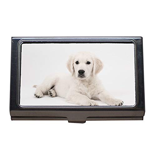 Tarjeta de visita, Perro Golden Retriever Cachorro Perro de pura raza, Linda mascota, Caja de tarjeta de visita de acero inoxidable