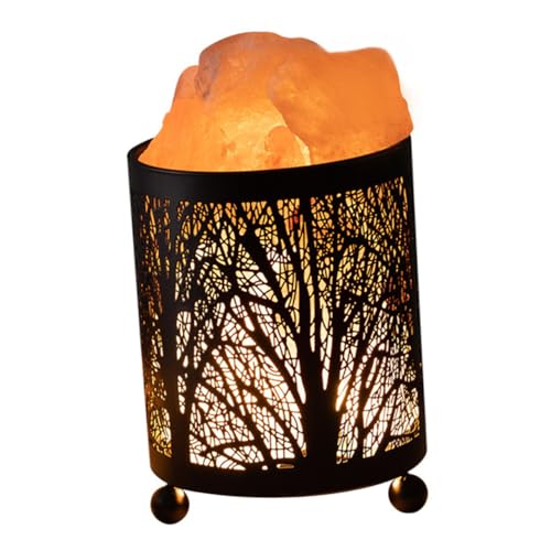 NUOBESTY Lampe à Sel Veilleuse Décorative En Fer Forgé, Lampe De Table Petite Pour Bureau Et Chambre, Ampoule Incluse, Veilleuse Compacte Pour Ambiance Salon Et Chevet, Prise Ue, 1 Kit