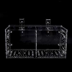 Hoge doorlaatbaarheid, aquarium kweekbak kweekbak voor gewonde, zieke vissen(30CM*15CM*15CM)