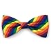 The Worthy Dog Rainbow Bow Tie Adjustable Collar Attachment Accessory