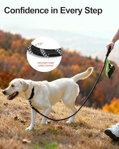 Joytale Dog Leash for Large Dogs, Heavy Duty Nylon Leashes with Comfortable Padded Handle and Highly Reflective Threads, Ideal for Walking and Training, Black, 6'×1/2'' - Image 3