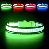 YFbrite Leuchtendes Hundehalsband, wiederaufladbares LED-Hundehalsband, blinkendes Hundehalsband, verstellbares reflektierendes Hundehalsband, Sicherheit leuchtet bei Nacht (Grün, S)