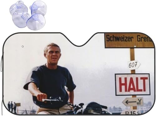 lC AjE f̃|X^[ ԗpi tg J[TVF[h tgKXp u zՎ fM OJbg ȒPt  킢  y p 130x70cm