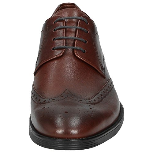 Sioux Homme Forkan plat Oxford noire marron chaussure basse classique