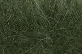 DROPS Kid Silk   Vert foncé 19   Fil à tricoter 4 plis   Mohair brossé   Soie   7.6 yards   0.9 oz