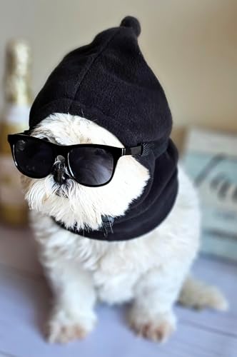 Disfraz set retro para perro pequeño a mediano miniatura 6