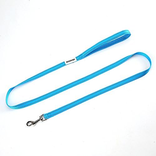 Dog Leash Matching Padded Strong Short Walking Leash for Dogs, Puppy Leash, Pet Leash | Puppy Supplies & Dog Accessories for Small Dogs (5/8 inch, Blue)
