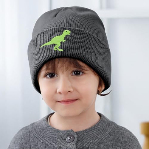 Toddlers Knitted Hat Baby Boys Girls Beanie Cute Embroidery Dinosaur Kids Winter Hat for 0-8 Years2