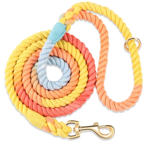 NUGUTIC Hundeleine, handgefertigt, geflochtenes Seil, für kleine, mittelgroße und große Hunde, 152 cm (Bunter Regenbogen)