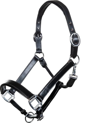 Licol en cuir HKM Economic 9100 noir : fini les irritations du demi-sang