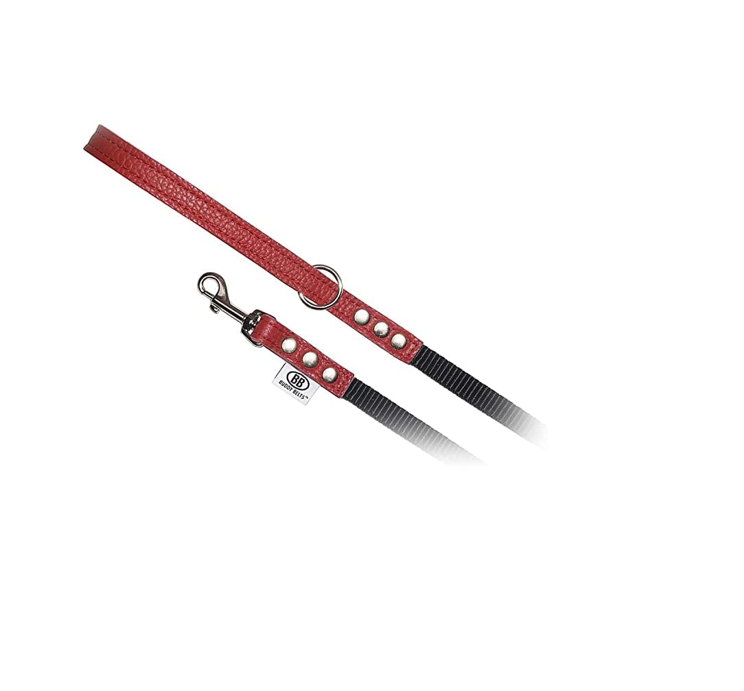 BUDDY BELTPebble Grain Accent Leather Nylon Leash Red - Premium Edition (1/2" x 4')