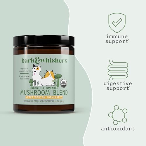 Mushroom Blend For Dogs With Cancer
